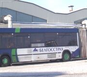 автобусы "Белгосстрах"
